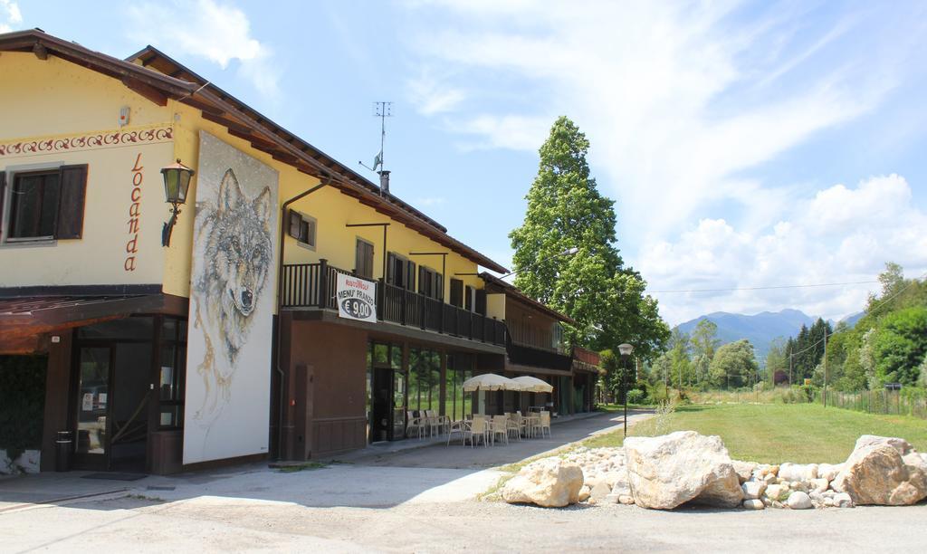 Wolf Village 데몬테 객실 사진